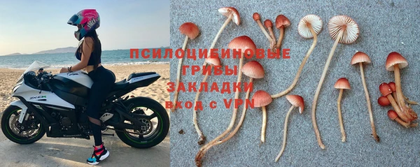 мескалин Медвежьегорск